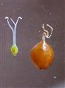  Pistil and Nut